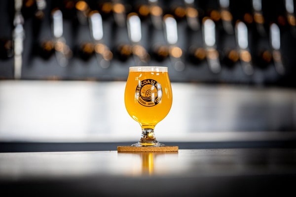 EC-1307 『 Freestyle Sandbox CY25 Vol.1 』 / Hazy Double IPA