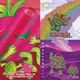 『 Beyond the Spectrum 』 Strawberry Fruit Monster x 2本 + Lupulin Rainbow x 1本 + Starwatcher x 1本