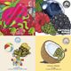 『 Lush Island 』 Strawberry Fruit Monster x 1本 + Natural Sugar x 1本 + Beach Ball Time x 1本 + Coco-Haze x 1本