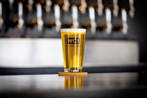 EC-1355 『 McKenzie Pils 』 / McKenzie Pils / 500mL x 4本