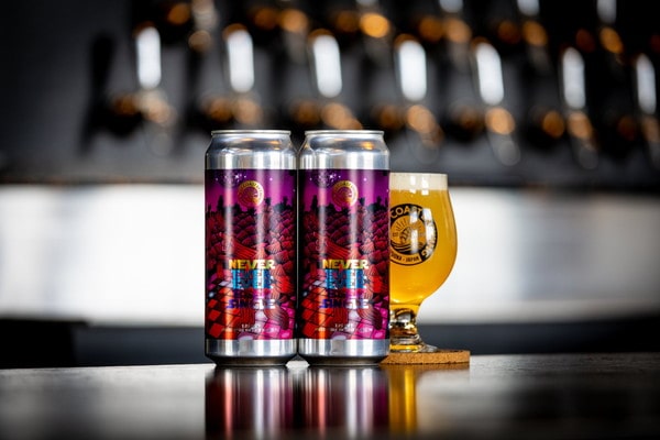 EC-1291 『 Never Ever Ever Been Single 』 / Mosaic Single Hop Hazy Double IPA / 500mL x 4本