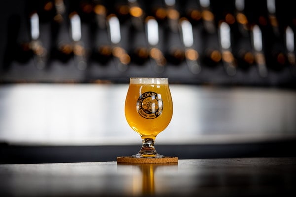 EC-1291 『 Never Ever Ever Been Single 』 / Mosaic Single Hop Hazy Double IPA / 500mL x 4本