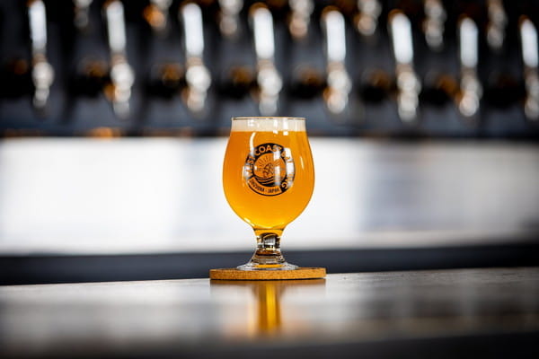 『 More Magma（Terpene-Infused Hazy Triple IPA）』 / 500mL x 4本