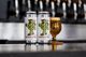 『 Wandering Boi（West Coast Double IPA）』 / 500mL x 4本