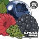 EC-1265 『 Natural Sugar 』 / Sour DIPA w/Blackberry, Raspberry & Blueberry / 500mL x 4本