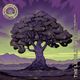 『 The Lupulin Tree（Hazy Double IPA）』 / 500mL x 4本