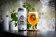 『 Dr. Dankness (Hazy Double IPA) 』 / 500mL x 4本