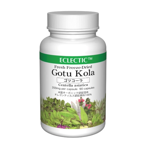 �����쥯�ƥ��å������ĥ�����