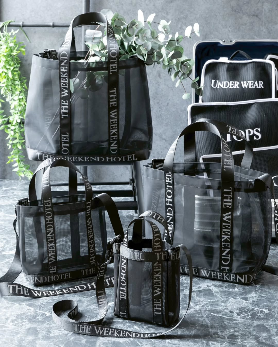 ��New��MeshBag(Msize)