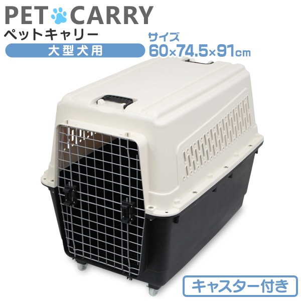 緿ѥڥå ꡼ 㥹դ