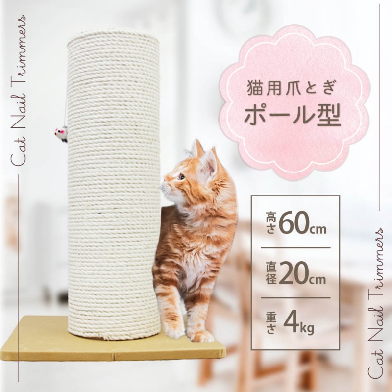 �ݡ��뷿 ǭ�� �ޤȤ� �㡡������̵����