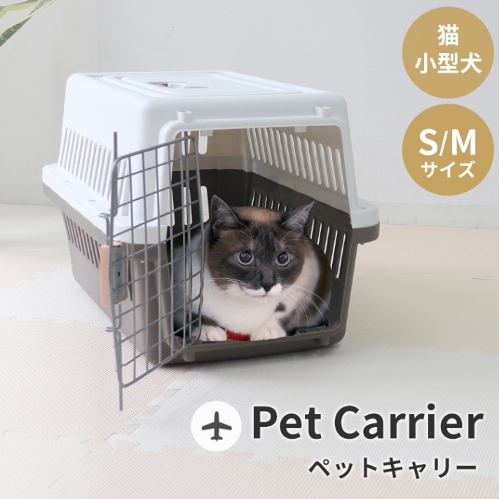 ڥåȥ꡼  S M ڥåɥ꡼  ǭ  ꡼ åȥ꡼ ꡼Хå ꡼ å ι   ͤ ͥ    ưʪ ɥ饤 ɺ 