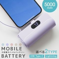 ХХåƥ꡼ 5000mAh iPhone16б Type-C Lightning ηͥ ֥¡   ® ̵