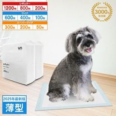  ڥåȥ (쥮顼 1200 800 200) (磻 600 400 100) (ѡ磻 300 200 50) ޤȤ㤤 ¿Ƭ  ̳ ¤ WEIMALL ̵