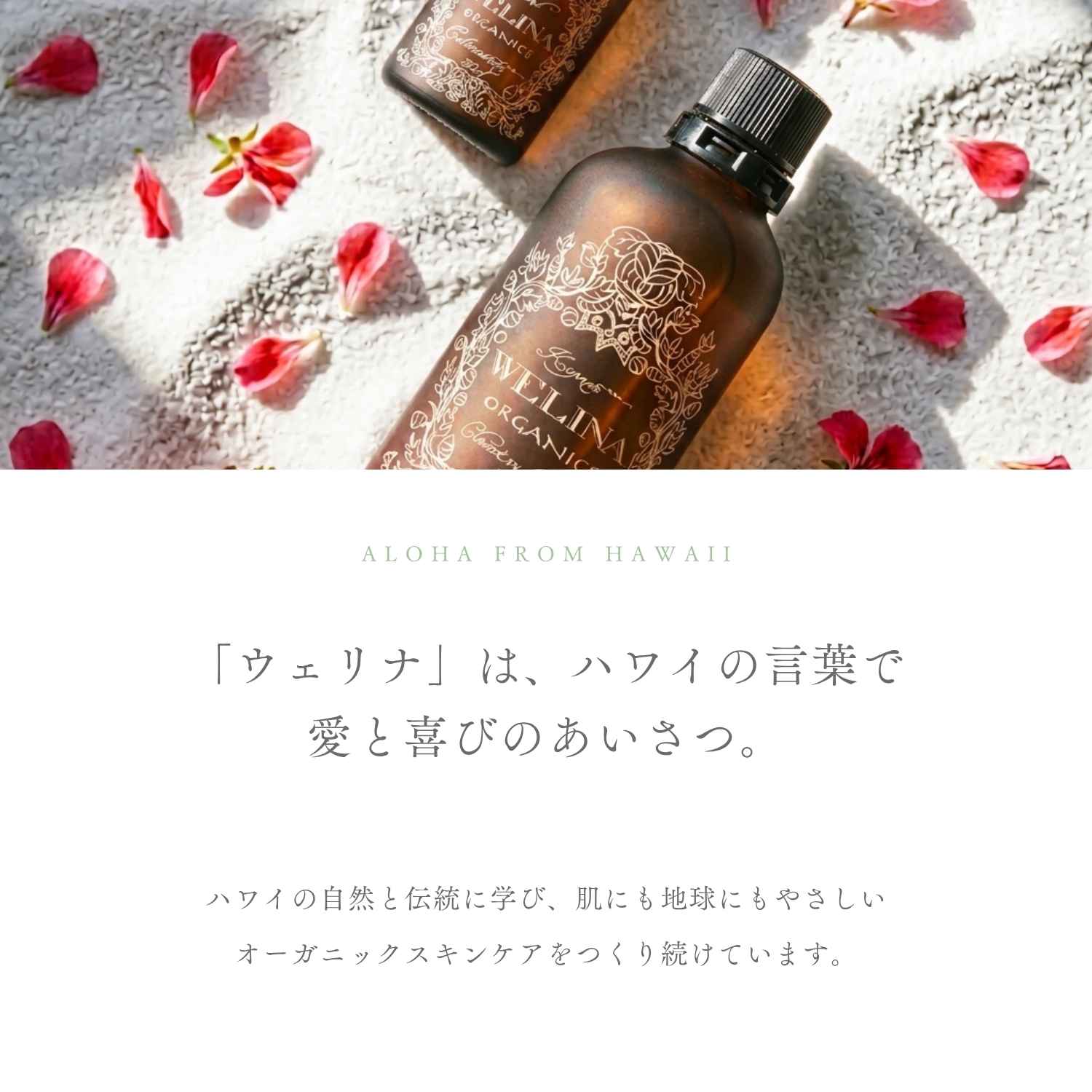 クリアヴェリー モイスト / 化粧水