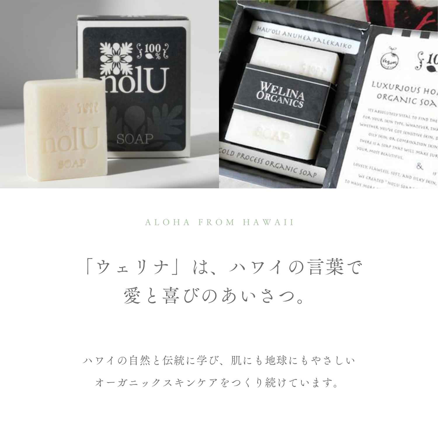 ノルゥソープ / ハンドメイド石鹸(冷製法)