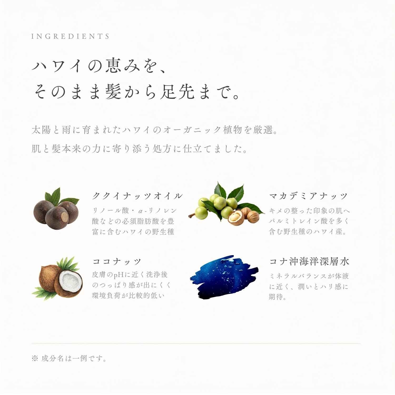 ルーカ 全身シャンプー / ドライ＆ダメージ髪・乾燥＆敏感肌