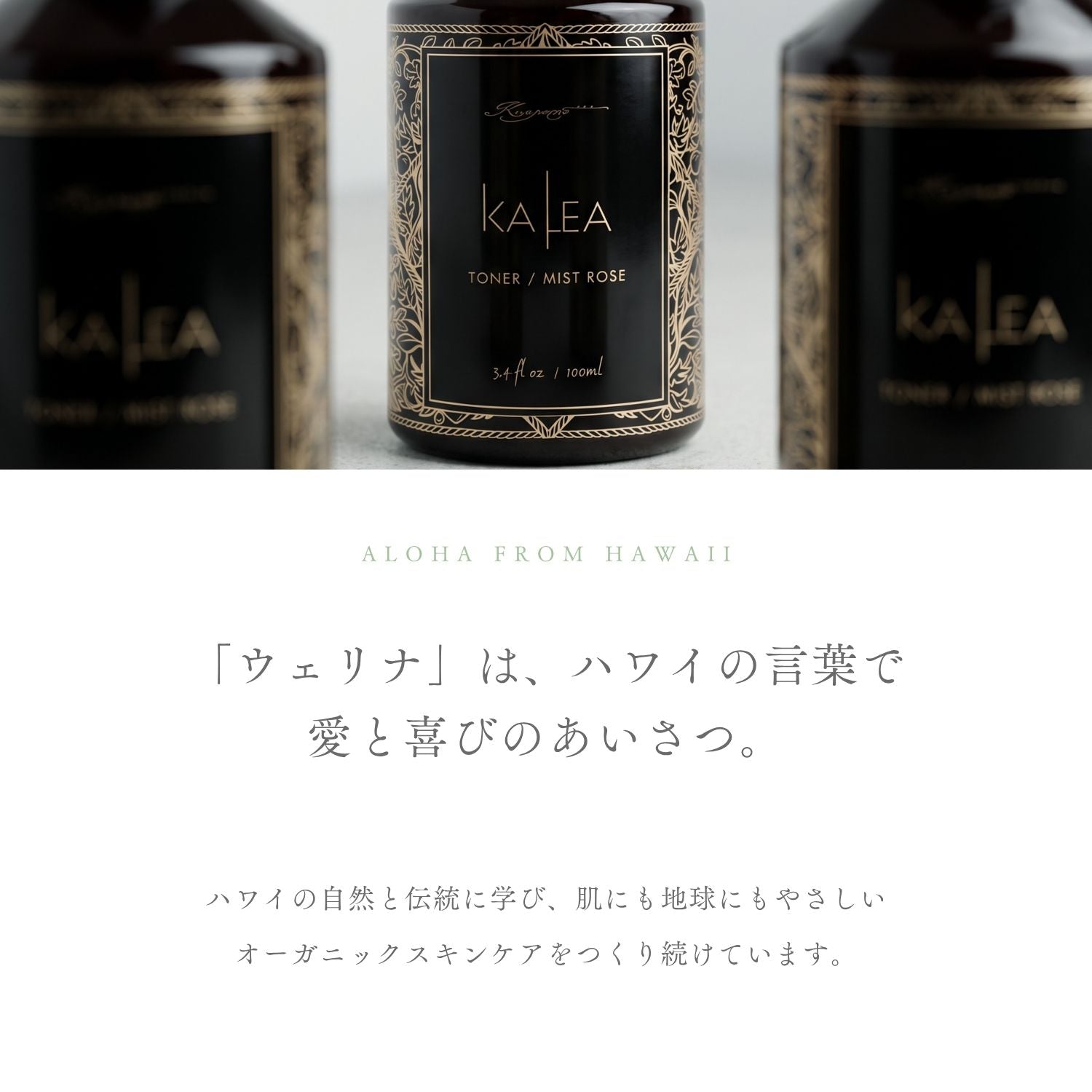 【入荷待ち】カレア トナー / 化粧水オイルフリー