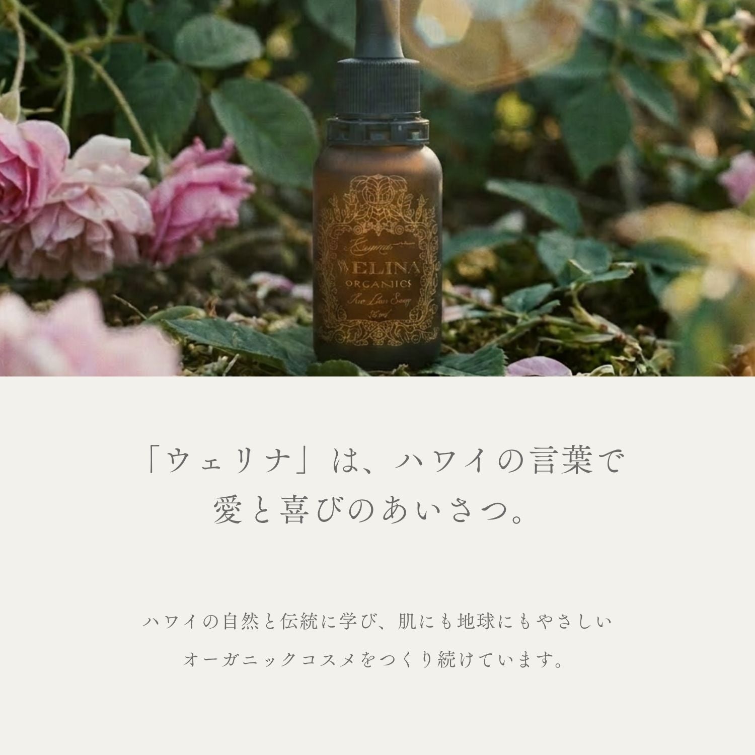 カレア セラム / 100%植物由来・プラセンタ配合