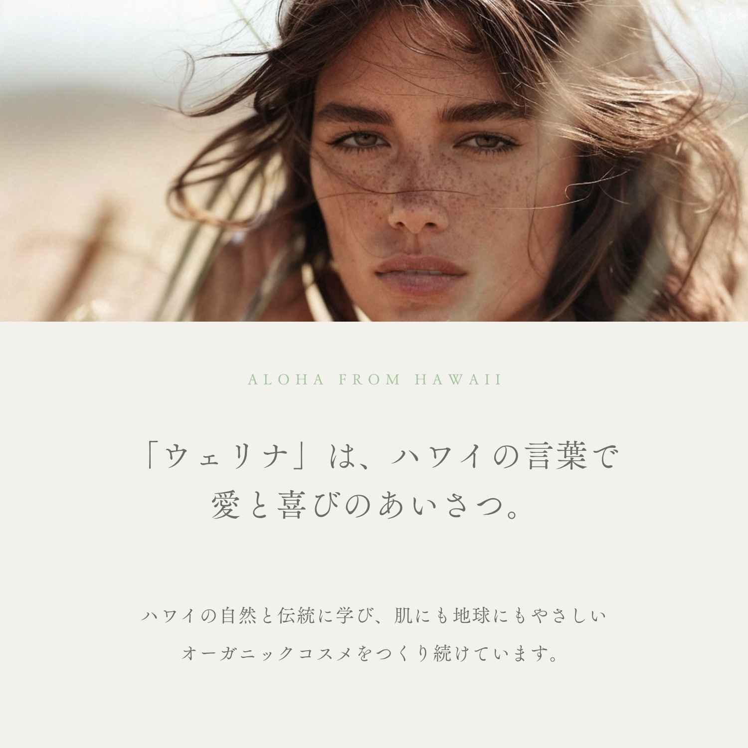 ルーラコンディショナー