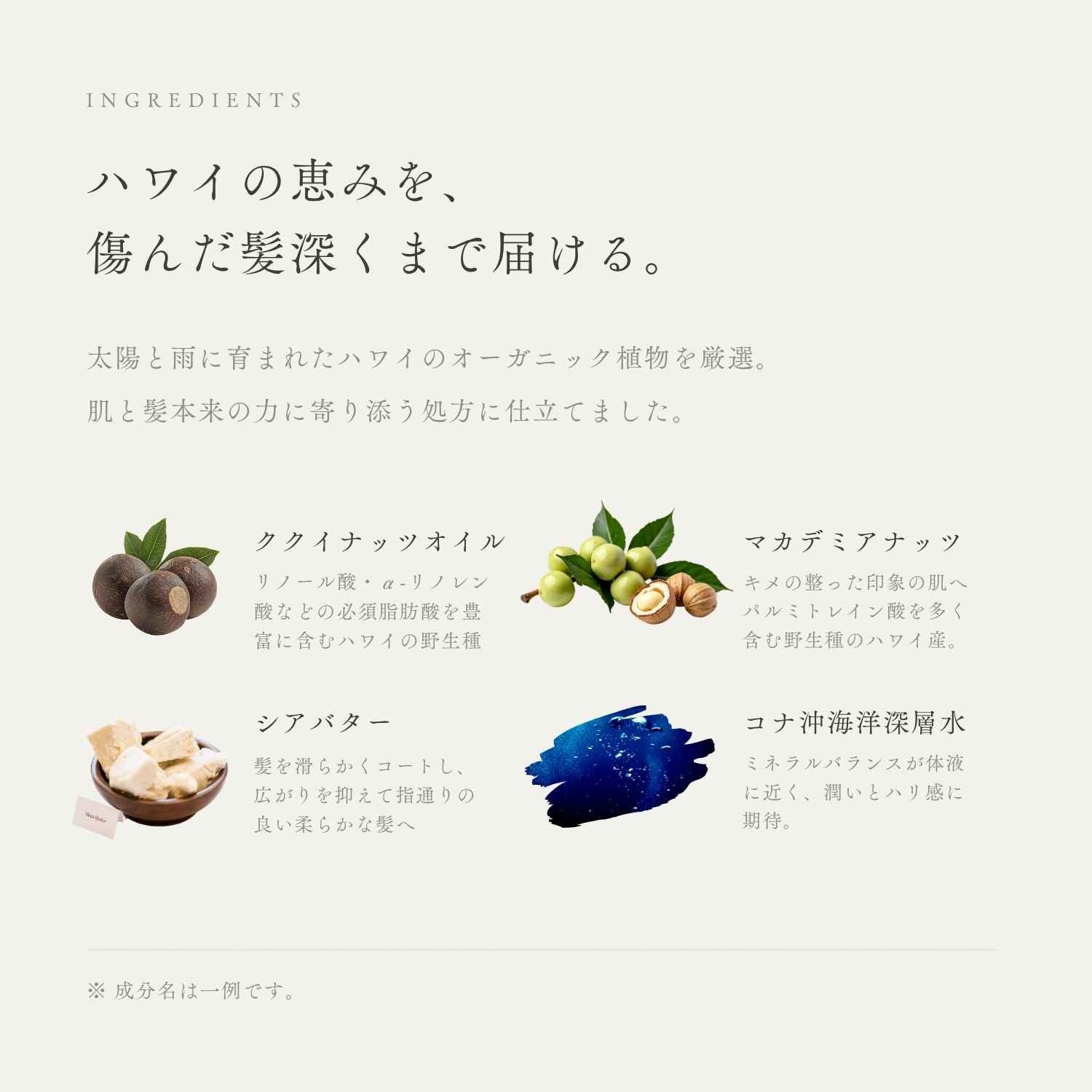 ルーラコンディショナー