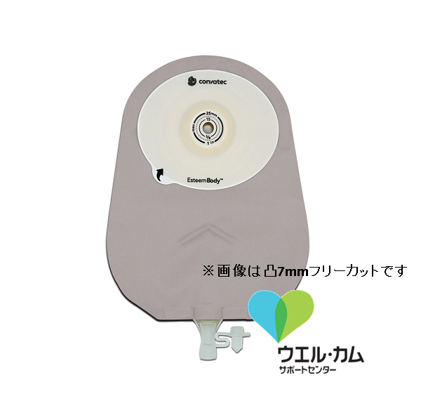 エスティーム ボディウロ 高さ:3.5mm 透明カスタムカット:10-45mmmm