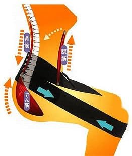 【公式代理店】ラクナール 腸腰筋リラックスベルト｜腰まわりの筋肉を整える整体発想の骨盤サポートベルト｜長時間座る方や立ち仕事の腰サポートに｜男女兼用・M/Lサイズ展開｜HYG公式