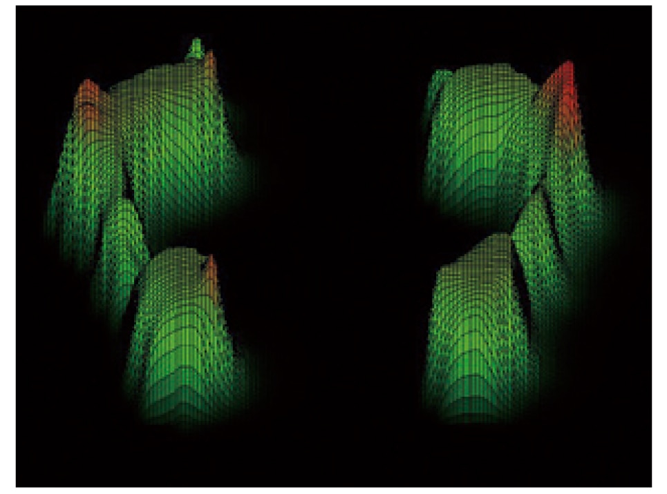 フットチェッカー Foot Checker｜足底圧と重心バランスをリアルタイム表示・姿勢改善・転倒予防に貢献するコンパクト足圧測定器【介護・フィットネス・リハビリ施設で活躍】