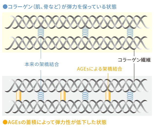 AGEsセンサ（最終糖化産物測定器）RQ-1201J-SET｜非採血・指先測定で生活習慣の影響を数値化する先進型健康チェック機器｜美容・医療・薬局・イベント向け