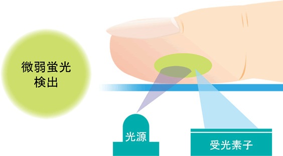 AGEsセンサ（最終糖化産物測定器）RQ-1201J-SET｜非採血・指先測定で生活習慣の影響を数値化する先進型健康チェック機器｜美容・医療・薬局・イベント向け