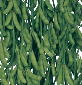 ̣�����������ġ�