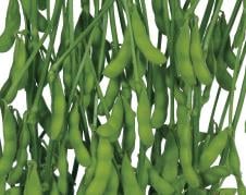 �������������ġ�