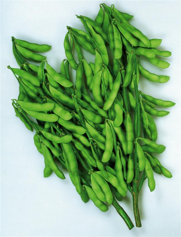 �򤢤���̼�ʥ��ͥ����ġ�