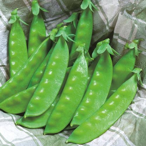 Ĥ뤢꡿𻰽財ʥġˡ