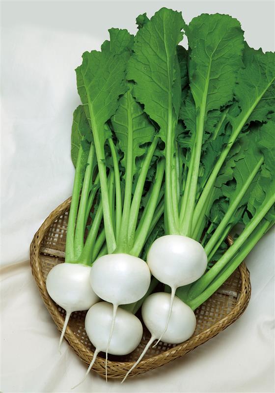 �椭��餷�ʥ��ͥ����ġ�