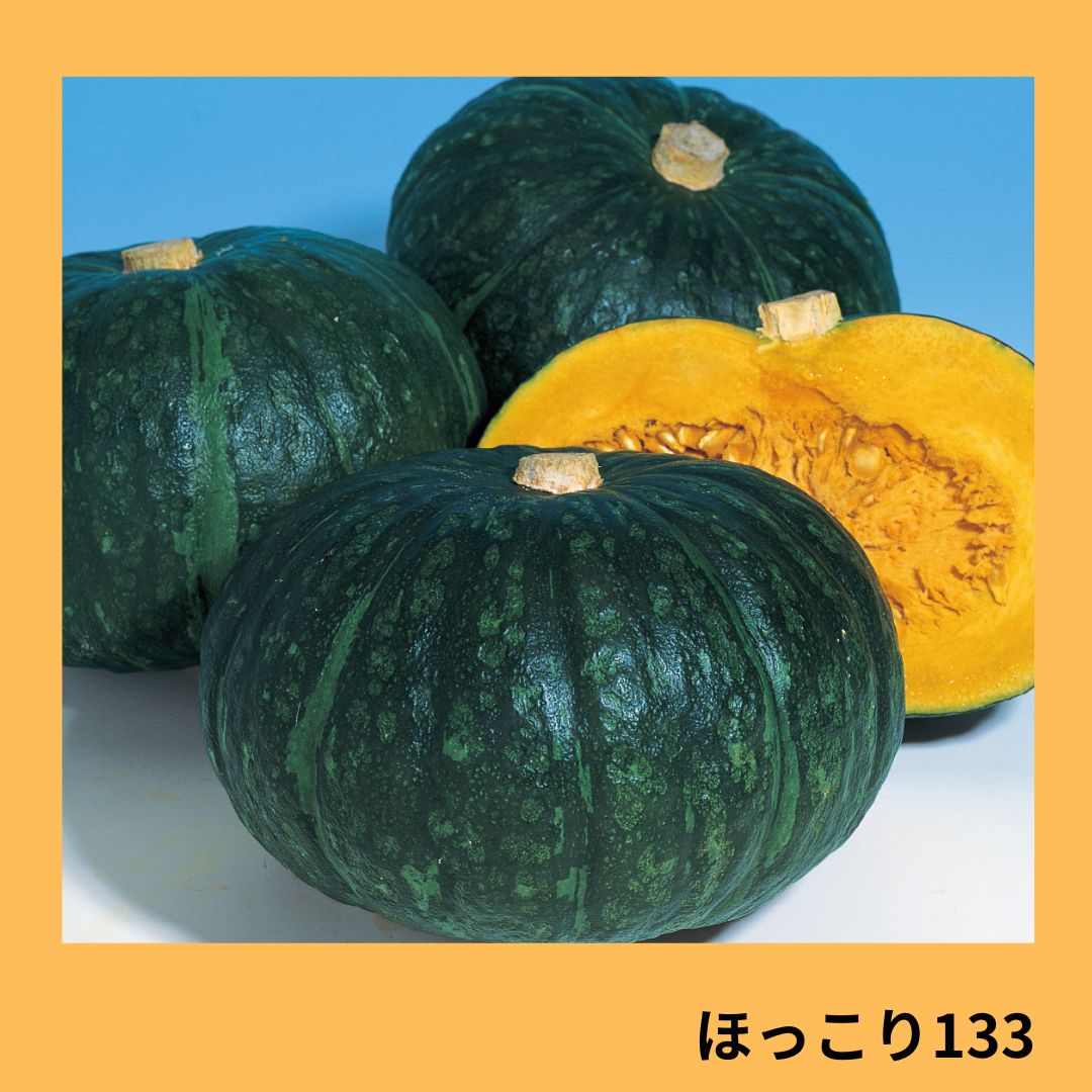 ほっこり133（タキイ種苗） | 野菜の種,果菜,カボチャ | アグリブック