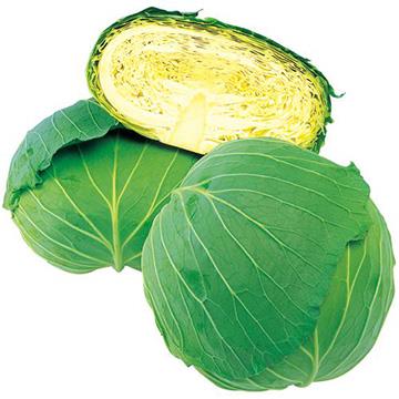 ��Τ�����ʥ��������ġ�