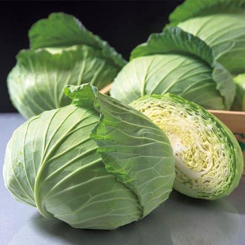 ̴���֤��ʥ��������ġ�