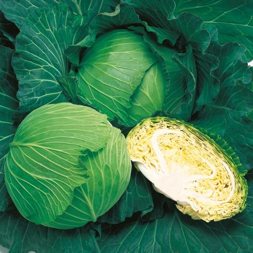 ̴����ʥ��������ġ�