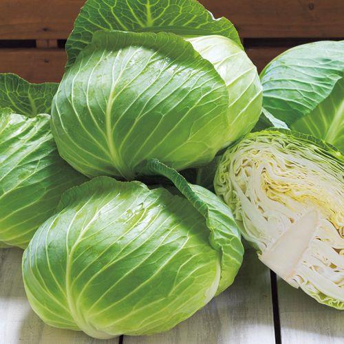 �����ʣӣСʥ��������ġ�