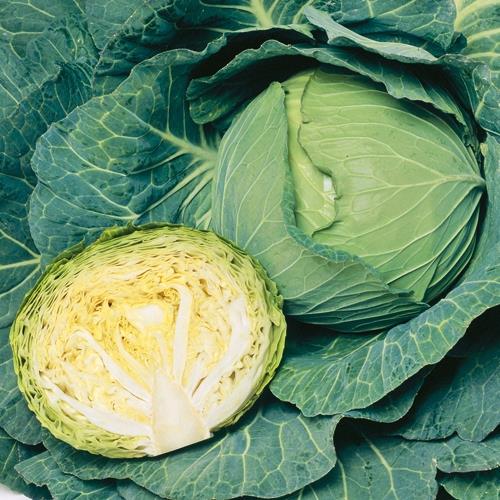 �з�ӣСʥ��������ġ�