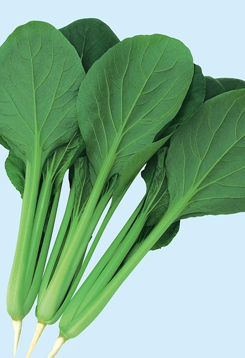 ǵ�ں���������Ӽҡ�