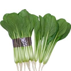 �ۿ������������