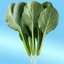 ���������������