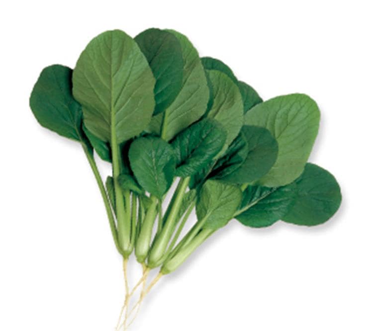 �ͤ�����������ġ�