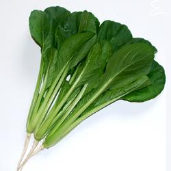 ͥ�������������