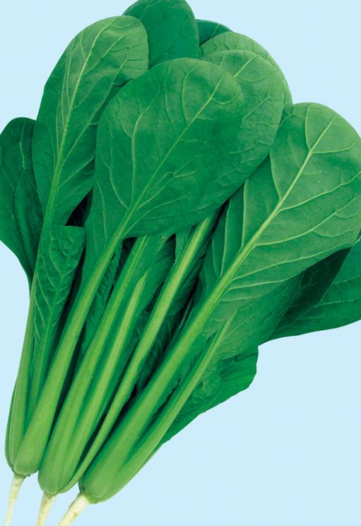 ���ں���������Ӽҡ�