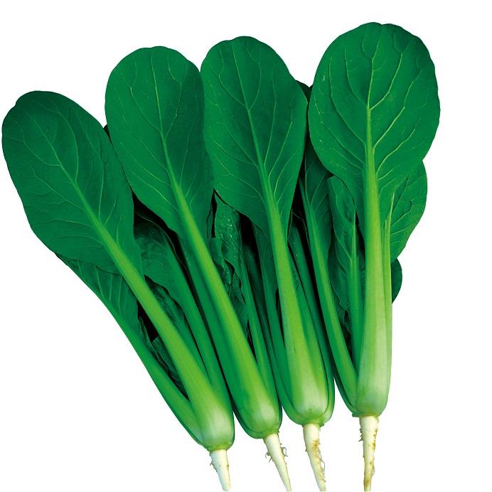 �ҤȲƤ������������Ӽҡ�