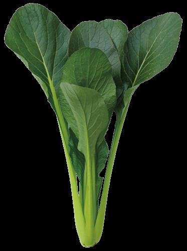 �ߤι�®��ʥȥ������ġ�