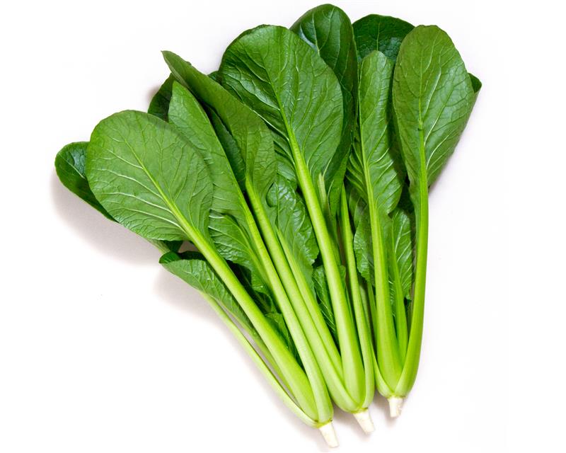 �褫�ä��ڡʥ��ͥ����ġ�